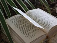 アーユルヴェーダの古典チャラカサンヒター